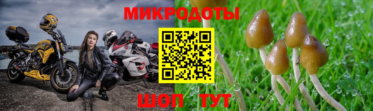 Саяногорск  Галлюциногенные грибы прущие грибы  Вход с VPN 